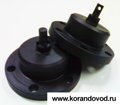 �������� ����� ������ ���� ��