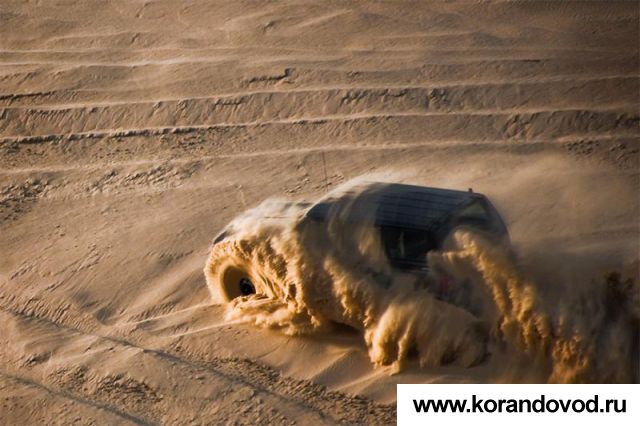 med_gallery_5014_459_172175.jpg