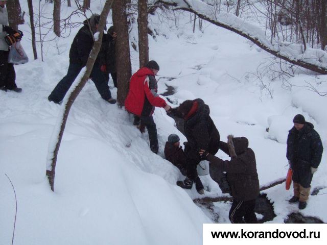 med_gallery_5373_714_79016.jpg