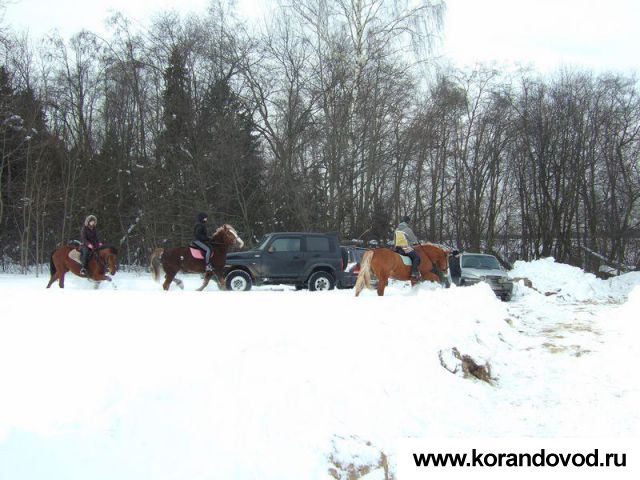 med_gallery_5373_417_97328.jpg