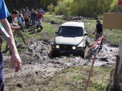 med_gallery_170_1258_22742.jpg