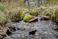 Живая вода.