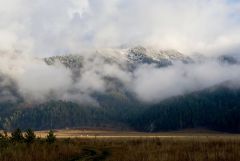 IMG_2217.jpg