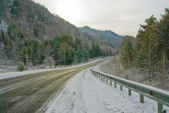 IMG_2302.jpg