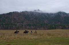 IMG_2251.jpg