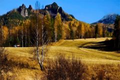 IMG_1964.jpg