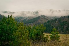 IMG_2259.jpg