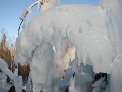 IMG_7682.JPG