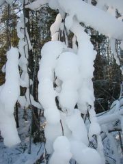 IMG_7708.JPG