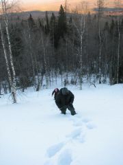 IMG_7593.JPG
