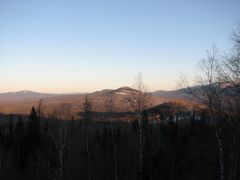 IMG_7595.JPG