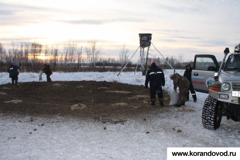 gallery_413_1525_9410.jpg