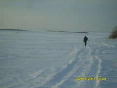 пурга.JPG