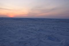 IMG_7270.JPG