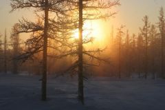 IMG_7863.JPG