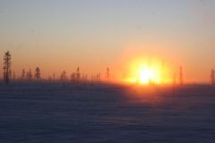 IMG_7849.JPG