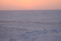 IMG_7257.JPG