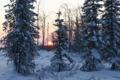 IMG_7593.JPG