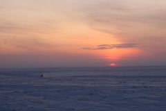 IMG_7285.JPG