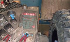 IMAG0146.jpg