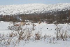 IMG_0251.jpg
