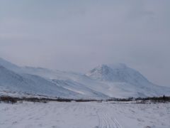 P1000925.jpg
