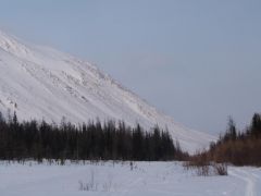 P1000907.jpg