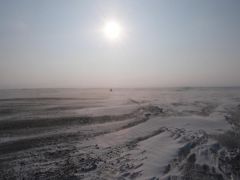 P1010244.jpg