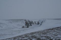 IMG_0742.jpg