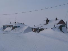 P1010156.jpg