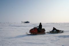 IMG_0816.jpg
