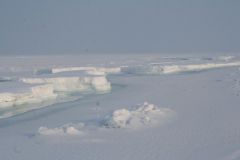 IMG_0837.jpg