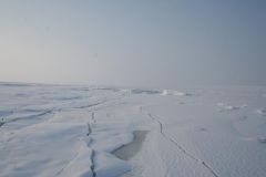 IMG_0841.jpg