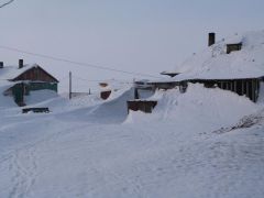P1010159.jpg