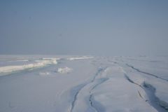 IMG_0836.jpg