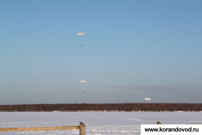 gallery_8341_1252_162868.jpg