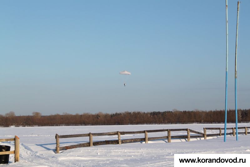gallery_8341_1252_288258.jpg