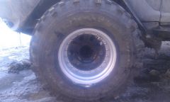 IMAG0501