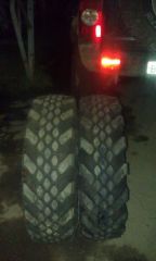 IMAG0387