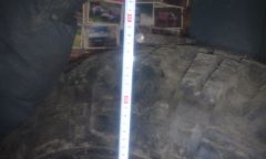 33х11.5