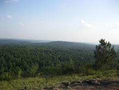IMG 7336