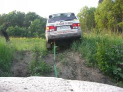IMG 7351