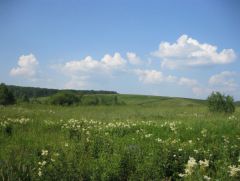 IMG 7298