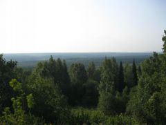 IMG 7335