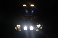 ЗЛО во Тьме