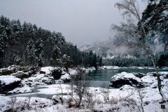 IMG 3664. Катунь