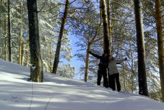 IMG 20130302 164614