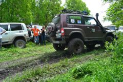 113DSC 0884