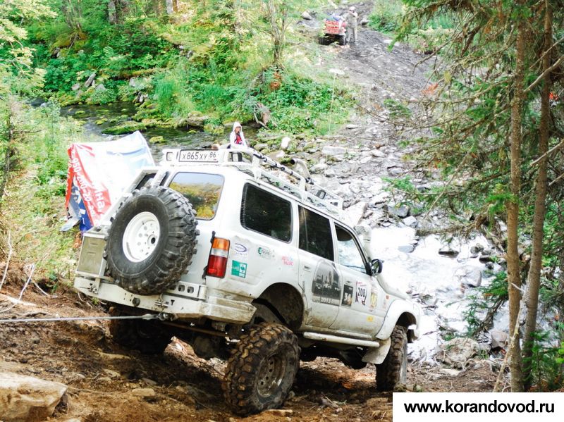 gallery_3106_2519_133162.jpg