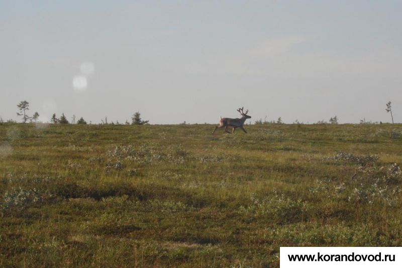 gallery_3106_2519_38632.jpg